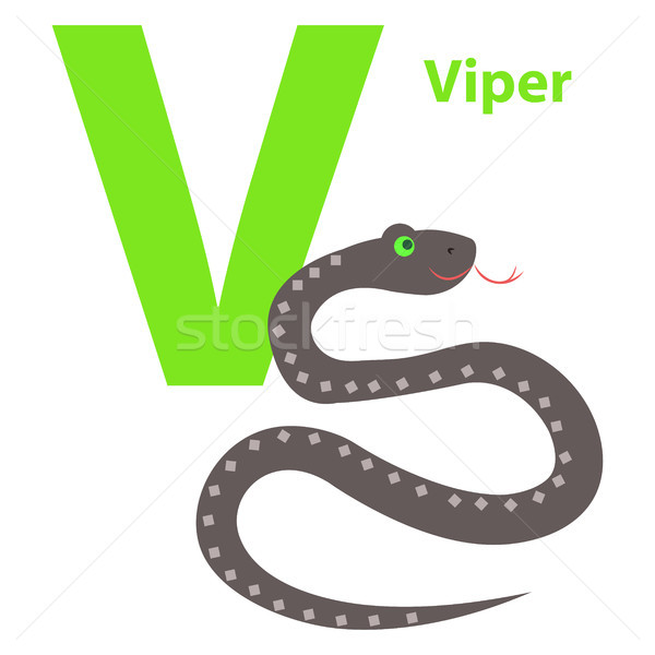 Capital Letter V Viper on Alphabet Poster Flat Stock photo © robuart