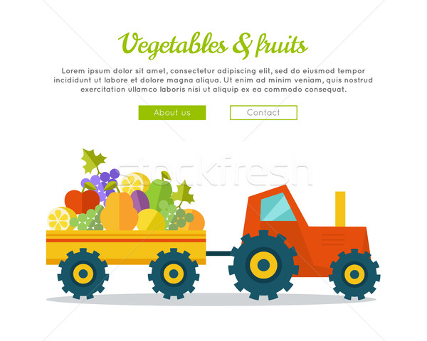 Vegetables Fruits Concept Vector Web Banner.  Stock photo © robuart