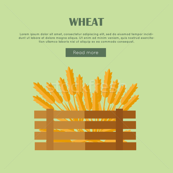 Wheat Concept Web Banner in Flat Design. Stock photo © robuart