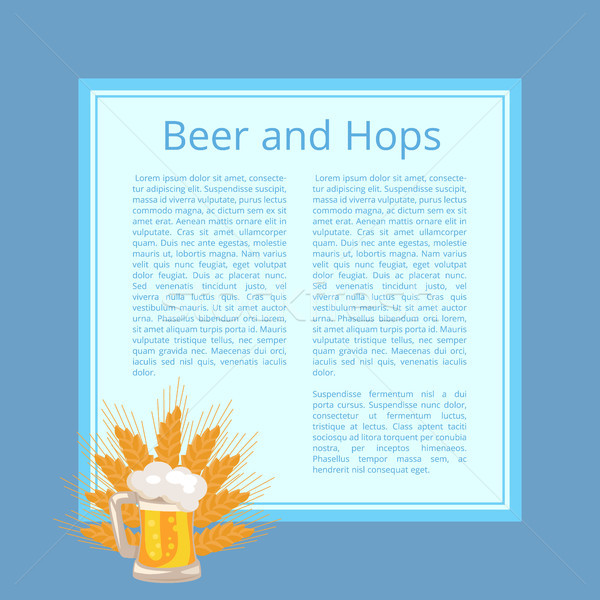 Birra poster schiumoso mug grano orecchie Foto d'archivio © robuart