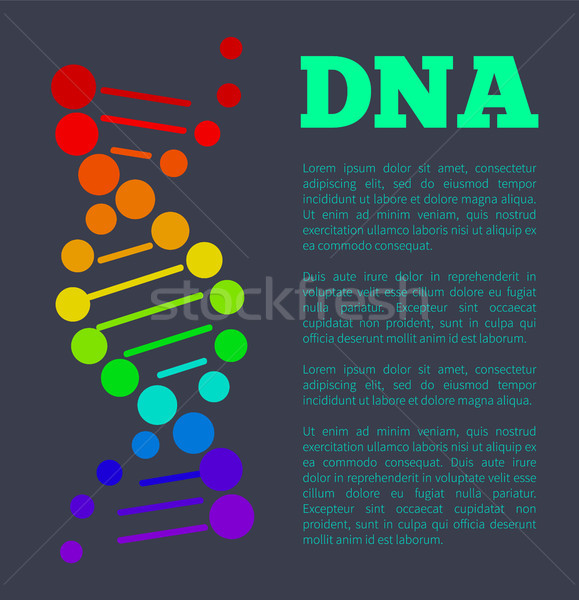 ДНК кислота цепь плакат красочный знак Сток-фото © robuart