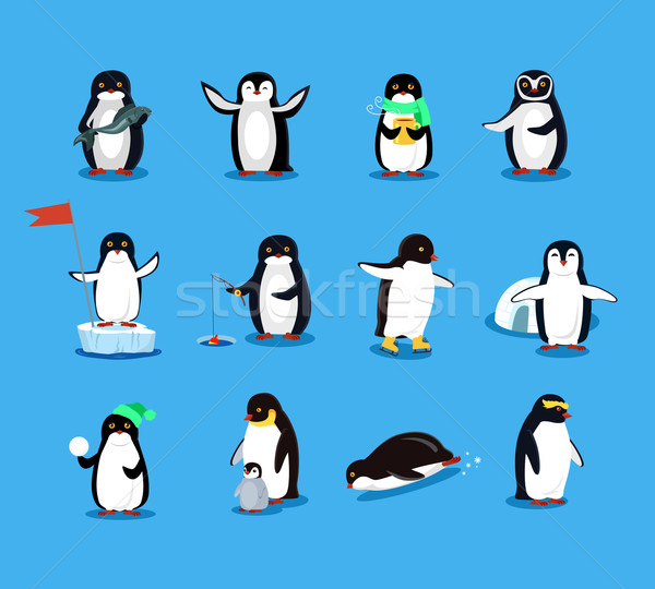 Сток-фото: набор · животного · дизайна · пингвин · птица · вектора