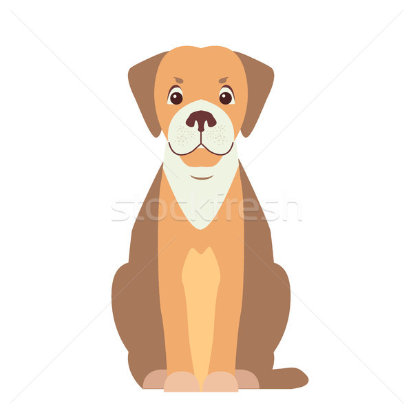 Cute Beagle Dog Cartoon Flat Vector Icon Stock photo © robuart