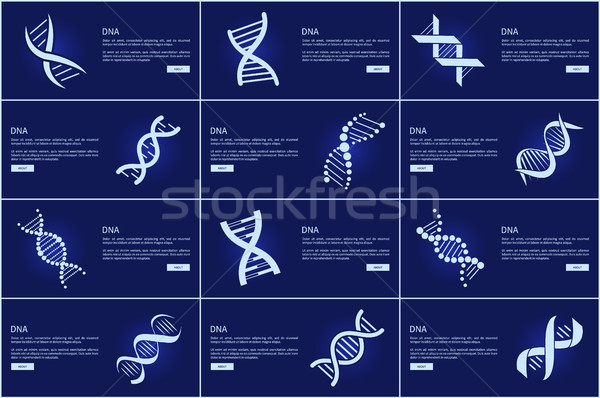 Zdjęcia stock: DNA · kolekcja · internetowych · Internetu · obraz
