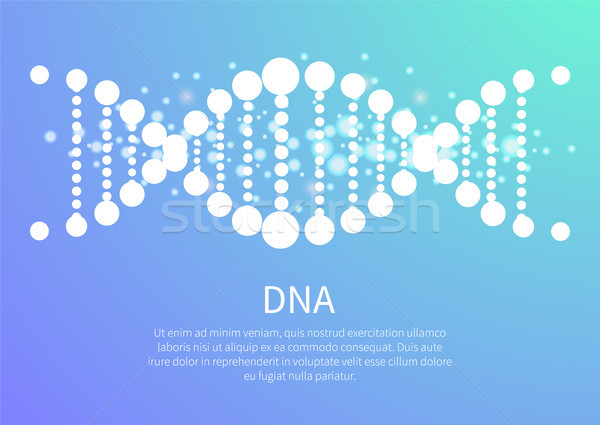 DNA Poster of Blue Color, Vector Illustration Stock photo © robuart