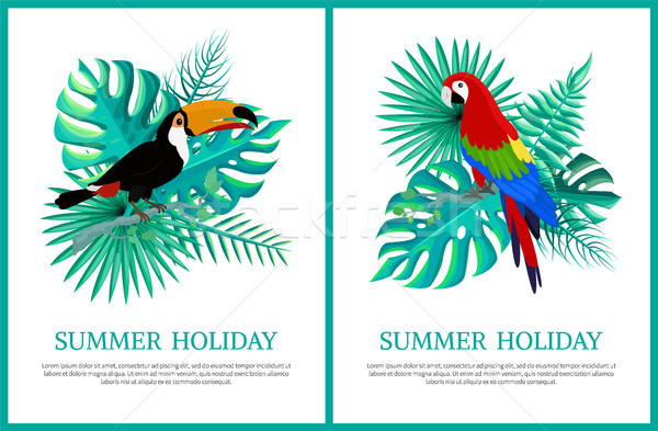 Yaz tatili posterler ayarlamak afişler metin örnek Stok fotoğraf © robuart