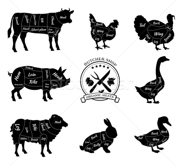 Set animale macelar magazin vedere vacă Imagine de stoc © robuart