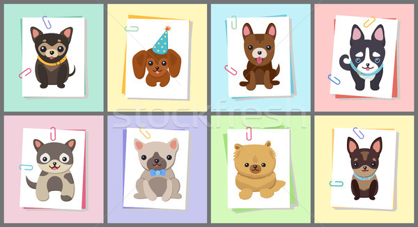 Puppies and Dogs Poster Set Vector Illustration Stock photo © robuart