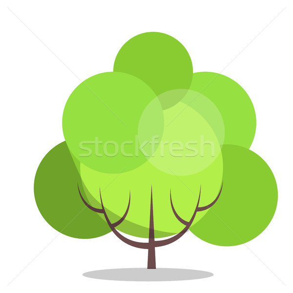 Small green tree isolated on white close up illustration Stock photo © robuart