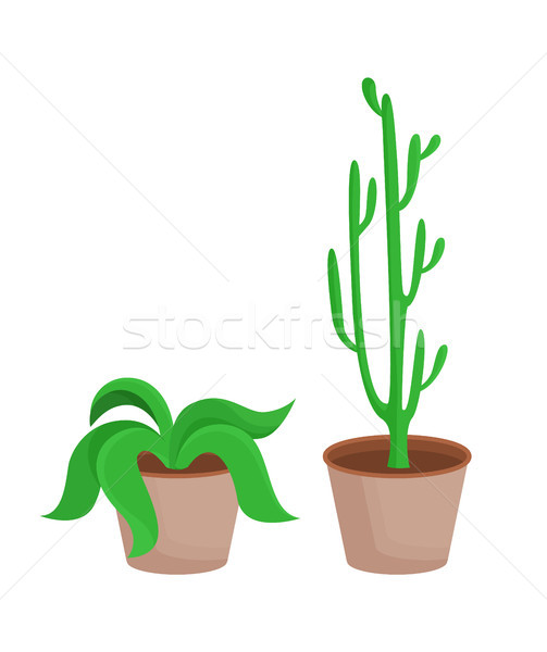 Stockfoto: Kamer · planten · bladeren · ingesteld · bloemen · blad