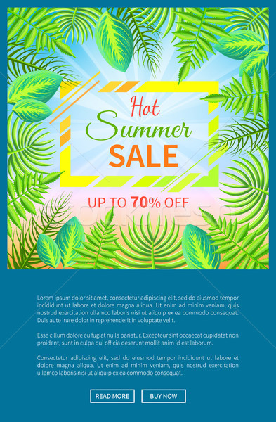 Hot Summer Sale Poster Up to 70 Off Banner Frame Stock photo © robuart
