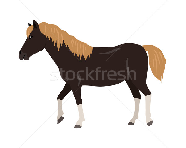 лошади дизайна черный красный белый ног Сток-фото © robuart