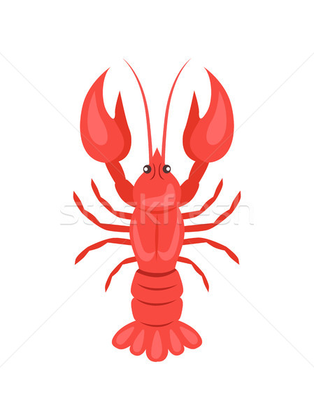 Red Crayfish Vector Illustration Isolated on White Stock photo © robuart
