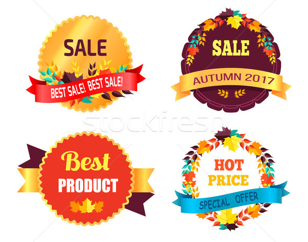 Legjobb vásár ősz árengedmény vegye meg most forró Stock fotó © robuart