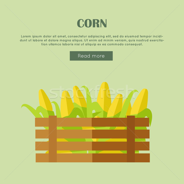 Corn Vector Web Banner in Flat Style Design.  Stock photo © robuart