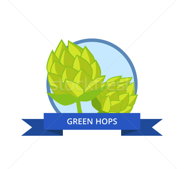 Green Hops Vector Isolated in Circle with Ribbon Stock photo © robuart