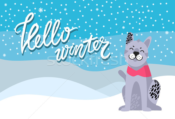 Hello Winter Poster with Spotted Grey Dog Collar Stock photo © robuart