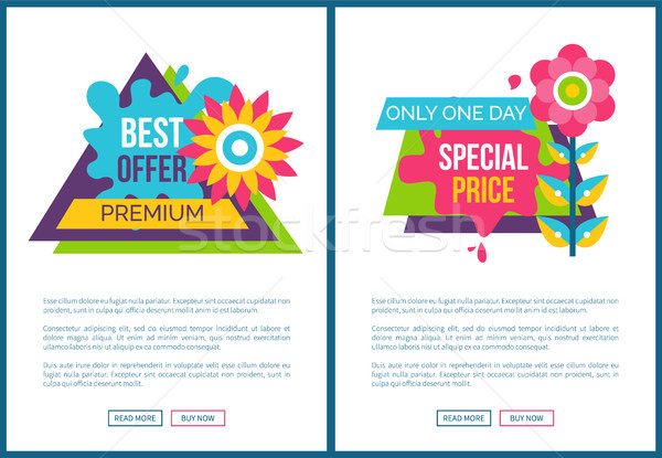 Premium Best Offer Advertisement Stickers Set Stock photo © robuart