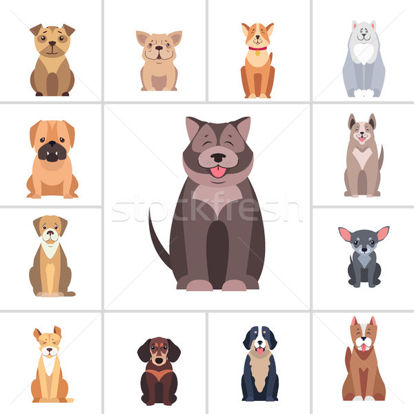 Stock photo: Cute Purebred Dogs Cartoon Flat Vectors Icons Set