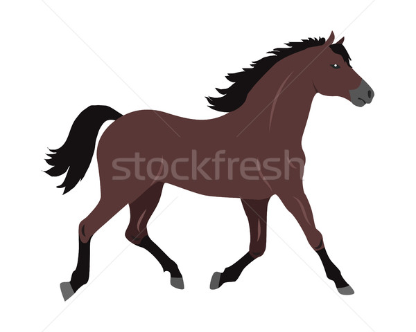 Horse Vector Illustration in Flat Design Stock photo © robuart