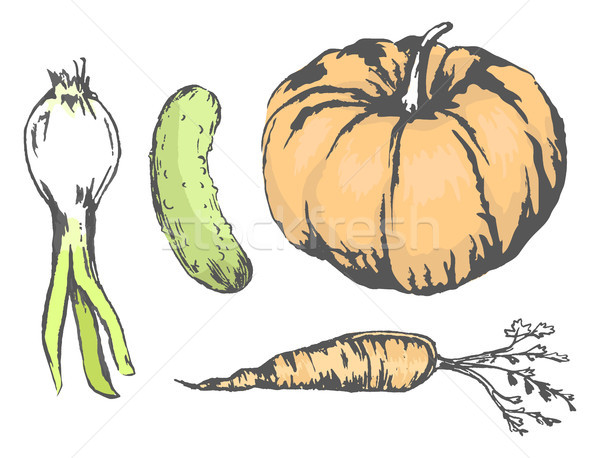 Delicious and Healthy Vegetables Illustrations Set Stock photo © robuart