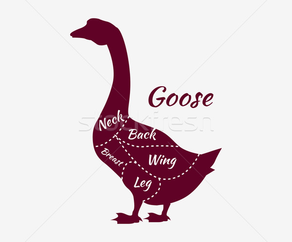 Stockfoto: Typografisch · gans · slager · diagram · grafiek · winkel