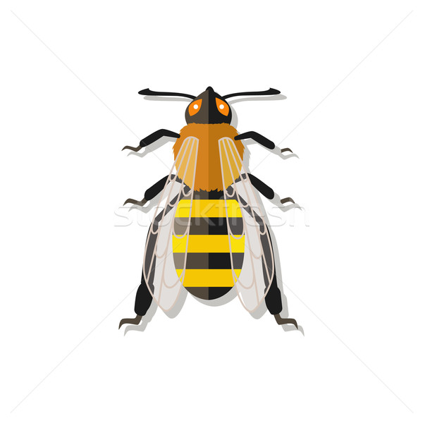 Vector Bee Icon Stock photo © robuart