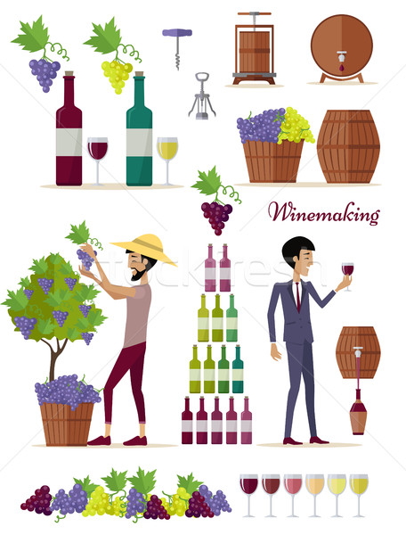 Winemaking Icon Set. Vintage Elite Strong Wine Stock photo © robuart