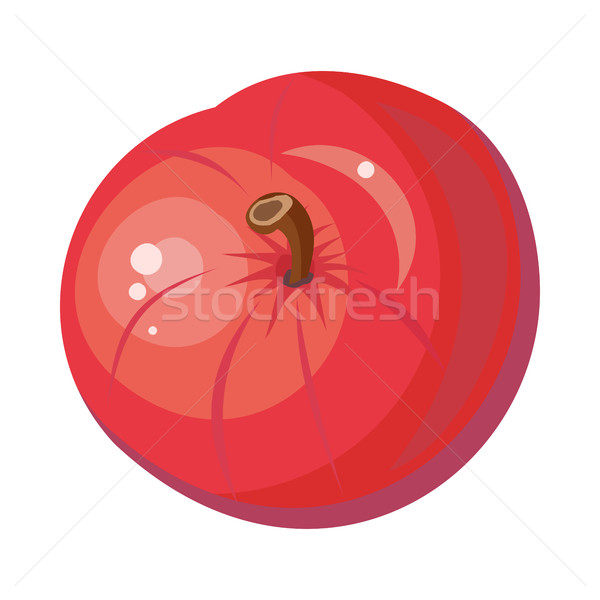 Red Apple Isolated. Pomaceous Fruit. Vector Stock photo © robuart