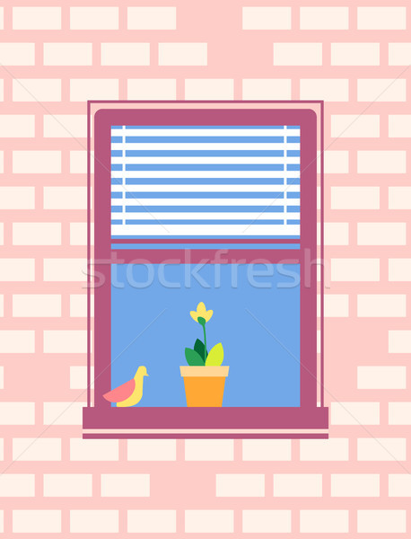 Open Window with Jalousie Bird Sitting on Sill Stock photo © robuart