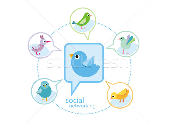 Szett különböző madarak közösségi média kommunikáció hálózat Stock fotó © robuart