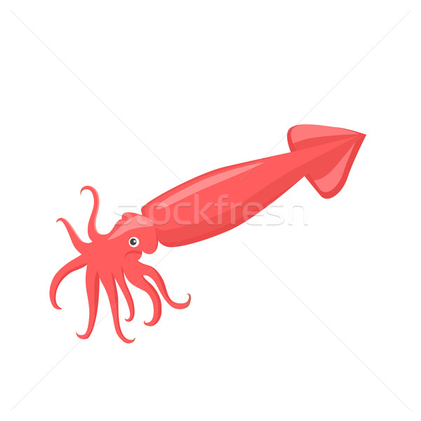 Squid of Red Color Design Flat Stock photo © robuart