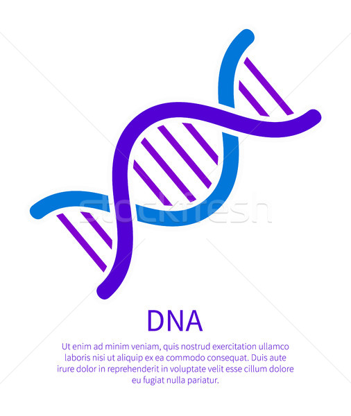Stock photo: DNA Icon of Genetic Code, Deoxyribonucleic Acid