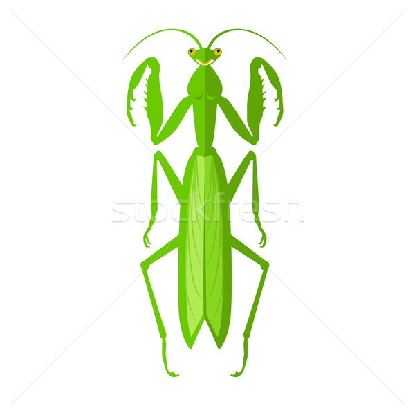 Green Grasshopper Icon Stock photo © robuart