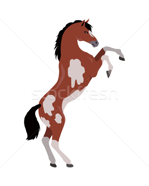 Rearing Pinto Horse Illustration in Flat Design Stock photo © robuart