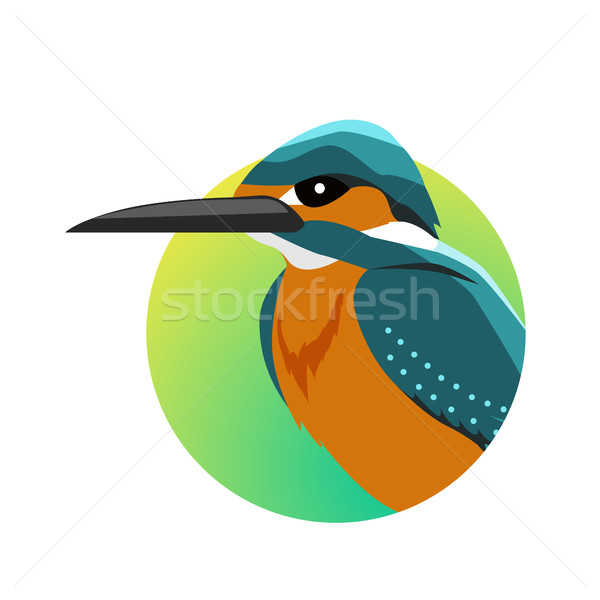 Ijsvogel ontwerp vector vogels wildlife stijl Stockfoto © robuart