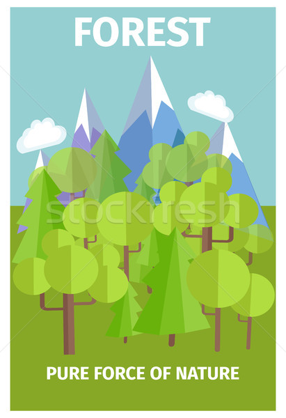 плакат природы лес источник красоту Сток-фото © robuart