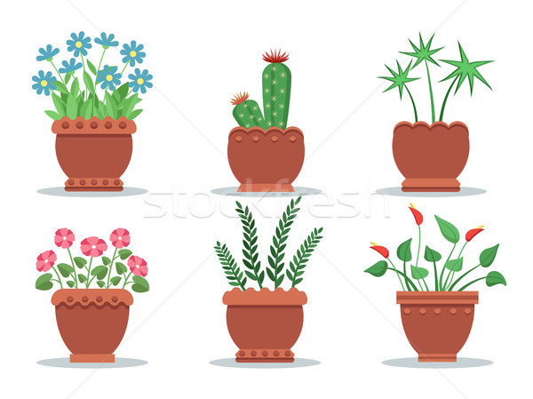 Room Plants in Pots Collection Vector Illustration Stock photo © robuart