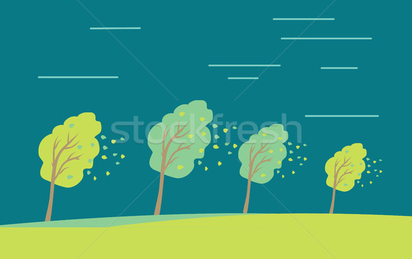 Strong Wind and Heavy Rainstorm in the Forest. Stock photo © robuart