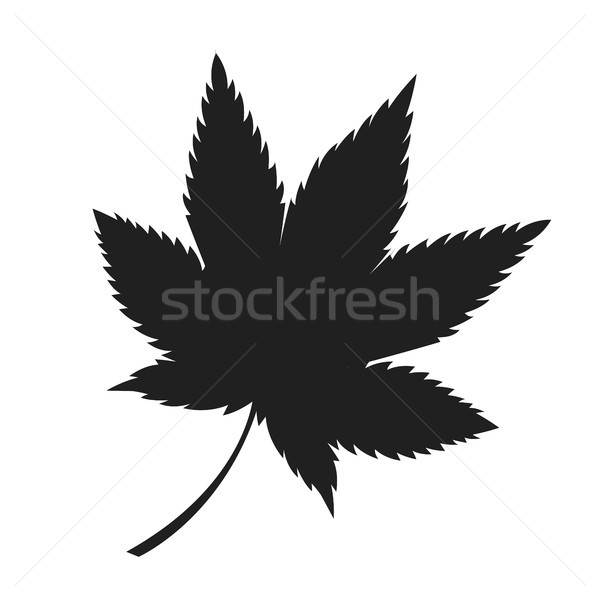 Maple Leaf Black Silhouette Autumn Fallen Object Stock photo © robuart