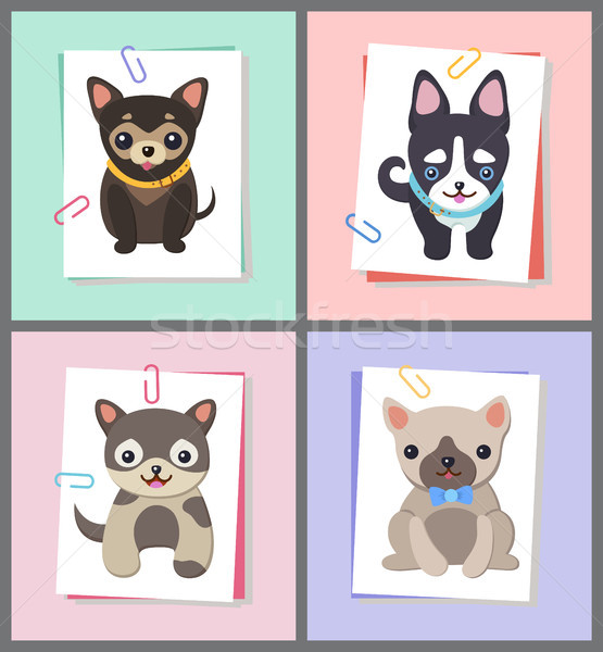 Dogs with Good Mood Collection Vector Illustration Stock photo © robuart