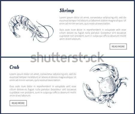сапфир драгоценный камней веб плакатов набор Сток-фото © robuart