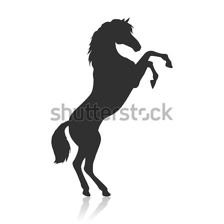 Rearing Pinto Horse Illustration in Flat Design Stock photo © robuart