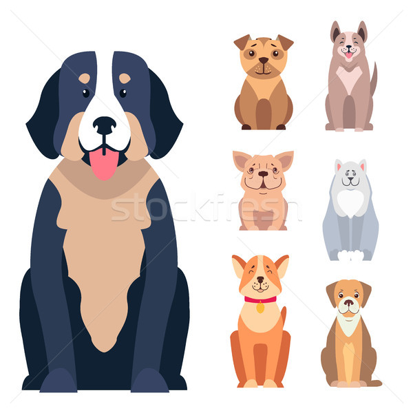 Cute Purebred Dogs Cartoon Flat Vectors Icons Set Stock photo © robuart
