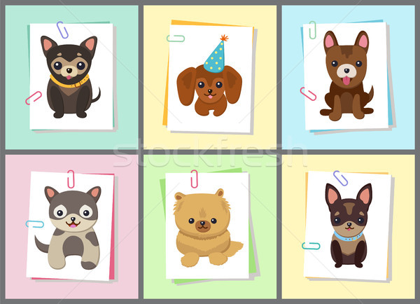 Puppies and Dogs Poster Set Vector Illustration Stock photo © robuart