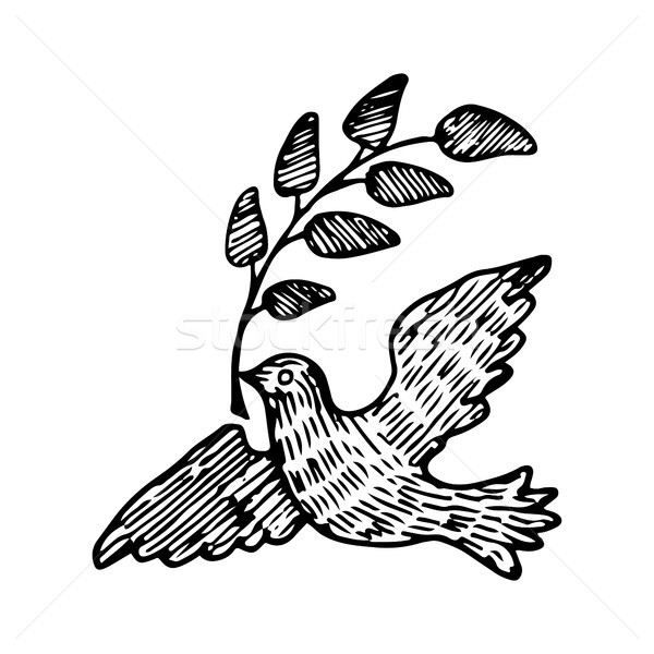 Stock photo: Dove of Peace With a Twig Vector Illustration