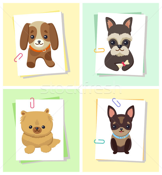 Puppies and Dogs Poster Set Vector Illustration Stock photo © robuart