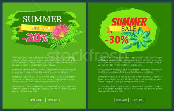 Foto stock: Verano · venta · 30 · promoción · tropicales