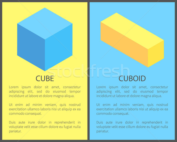Cube and Cuboid Posters Set Vector Illustration Stock photo © robuart