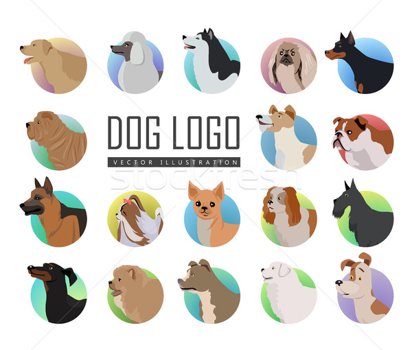 Establecer perro vector logos estilo diseno Foto stock © robuart